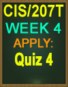 CIS/207T WEEK 4 APPLY: QUIZ 4